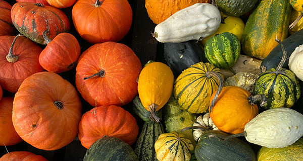 Food Bank of Western Massachusetts