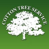 Cotton Tree