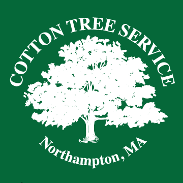 Cotton Tree Services