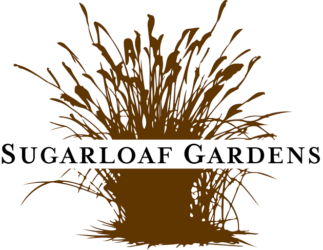 6. Sugarloaf Garden 
