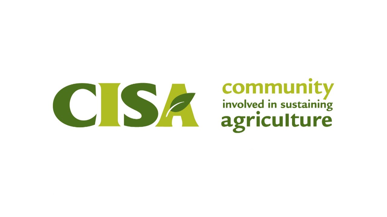 4. CISA 